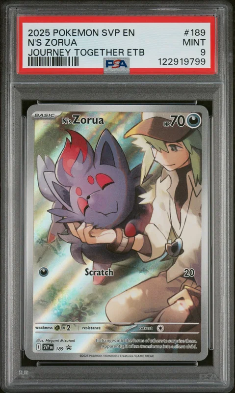 cardshq267786