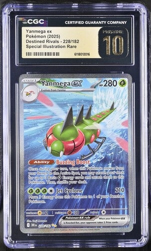 cardshq282084