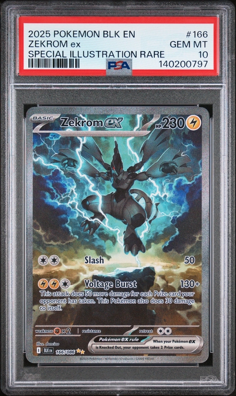 cardshq293339