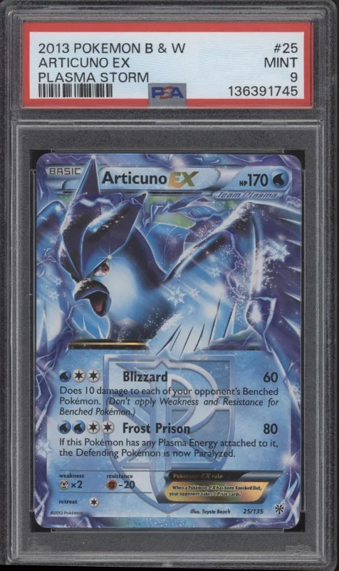 collectorstore237629