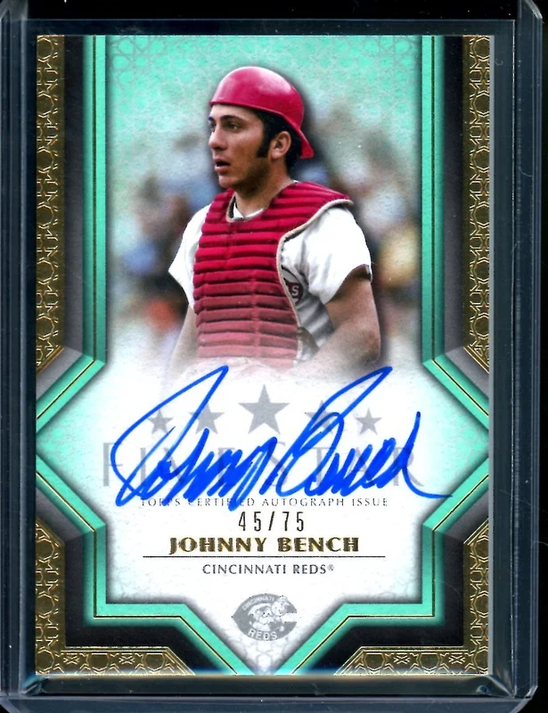 tradingcardmarket2844191